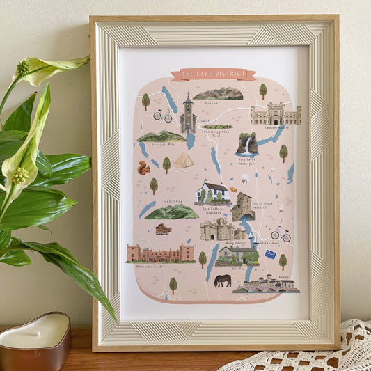 Framed map of the Lake District with decorative elements on a wall next to a plant.